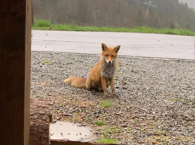Hotel Jaegerstuebli Grindelwald