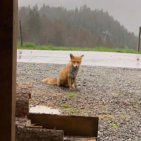 Jaegerstuebli Hotell