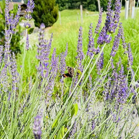 Hotell Jaegerstuebli Grindelwald